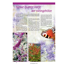 Traumgarten