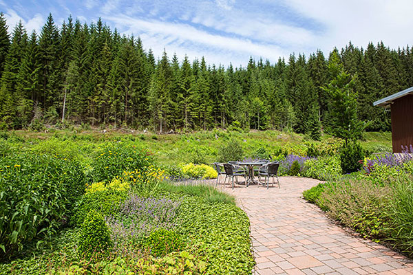 Ganzjahrespflege von Gartenanlagen